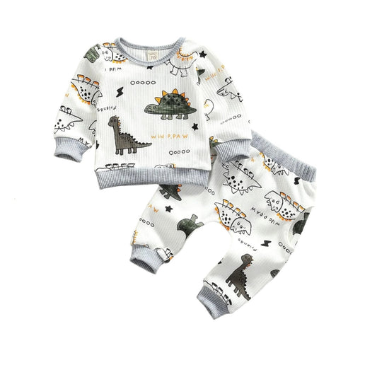 0-24M Dinosaur Newborn Infant Baby Boy Clothes Set Long Sleeve Sweatshirts Tops Pants Outfits